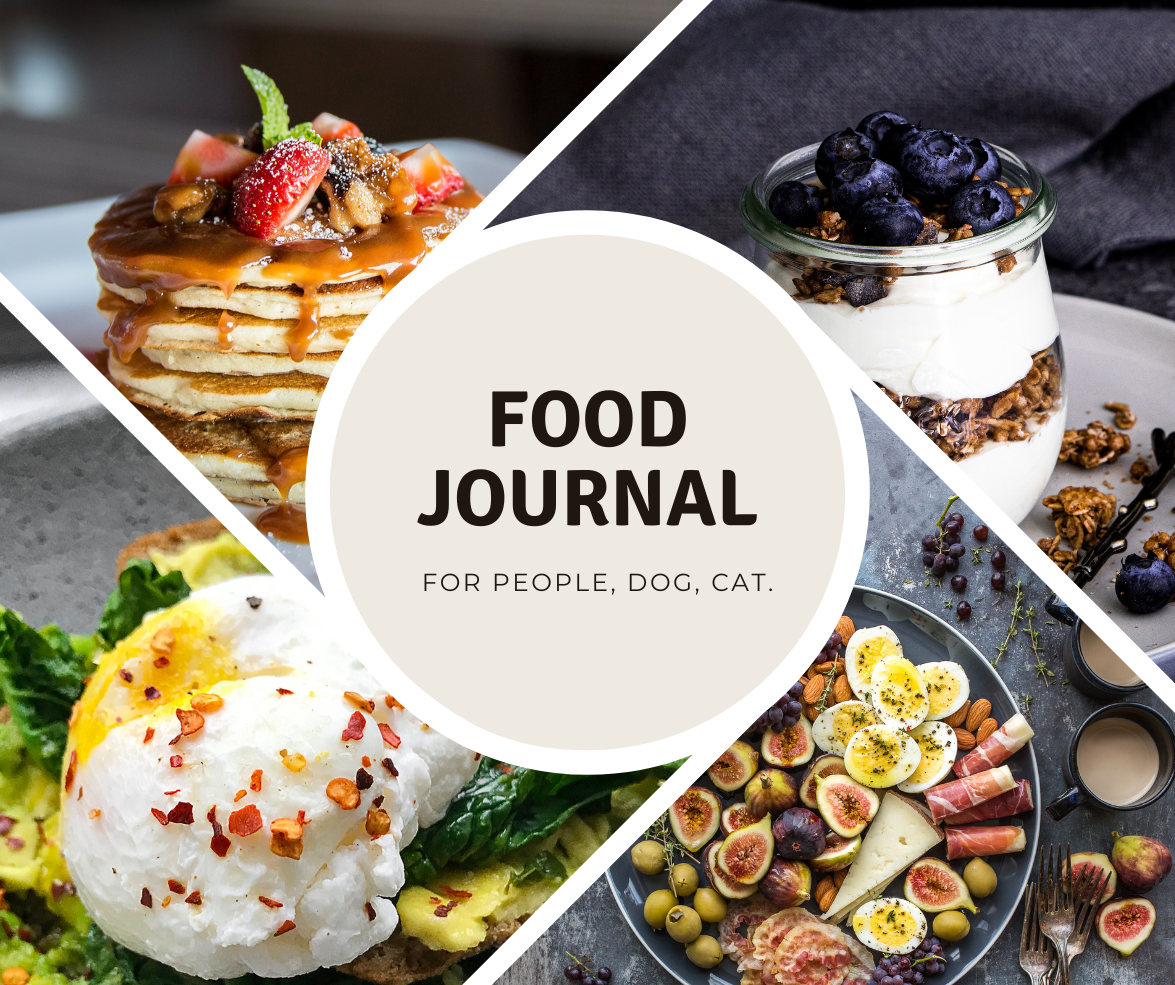 Food Journal